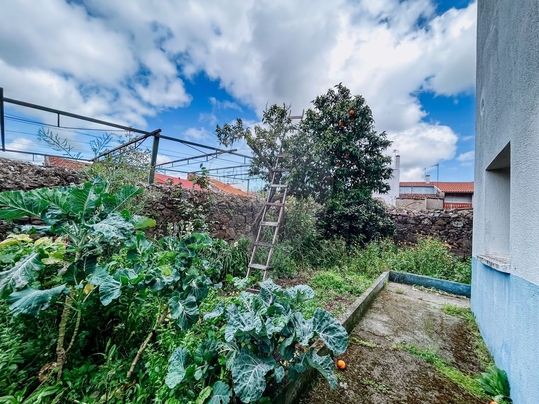 listing 124351039-15 picture-0