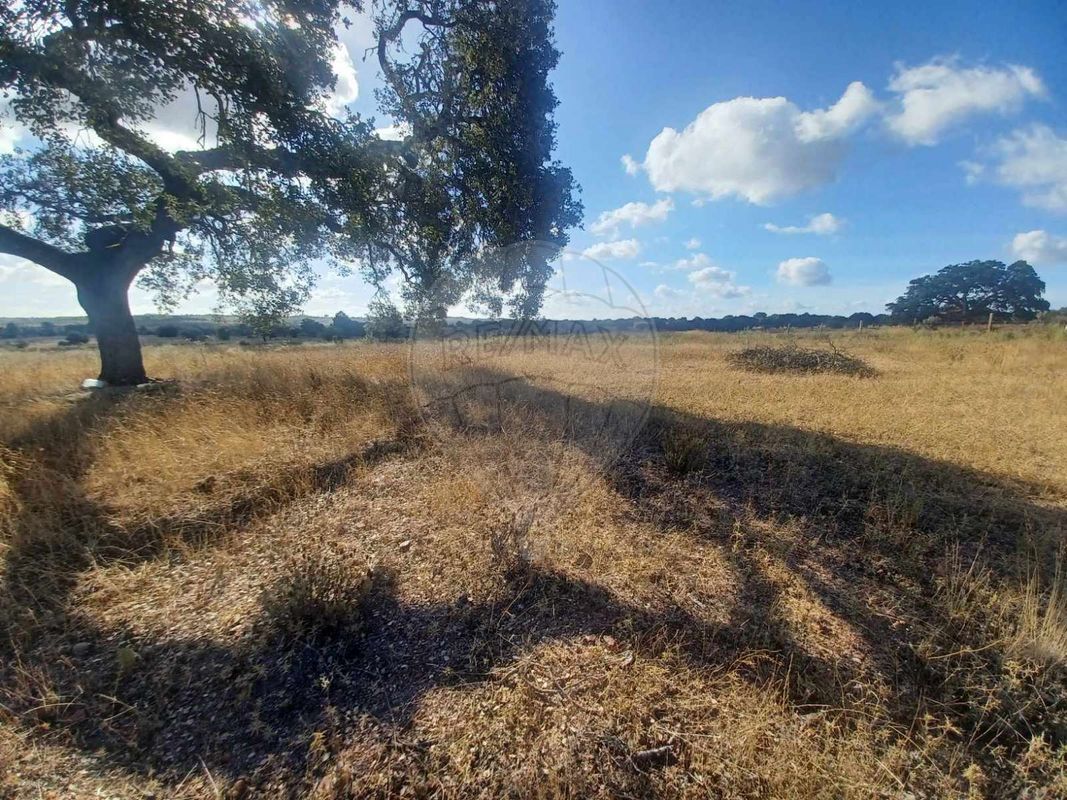 Terreno para venda