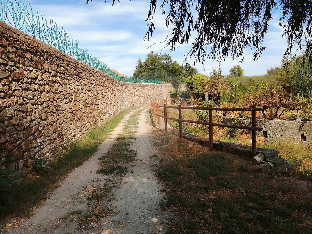 Terreno  à venda em Castelo Branco