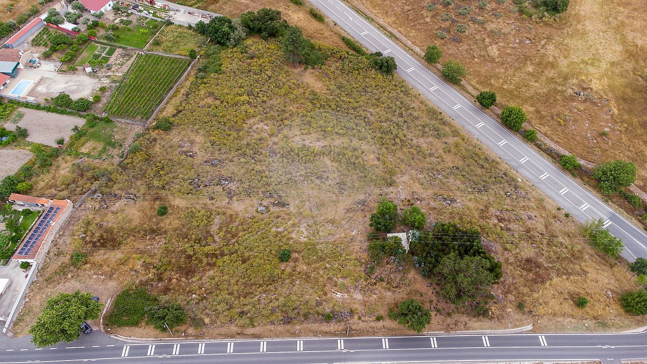 Terreno  à venda em Castelo Branco