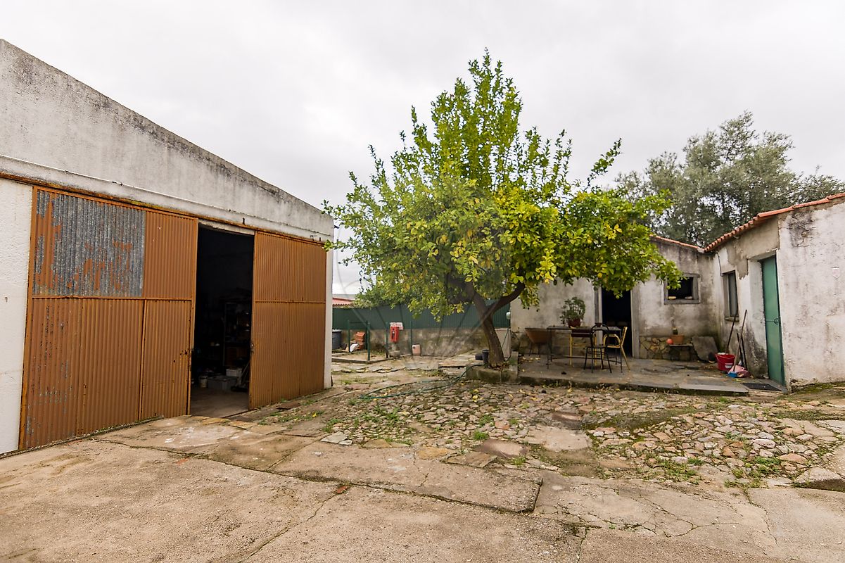 listing 124351025-278 picture-0