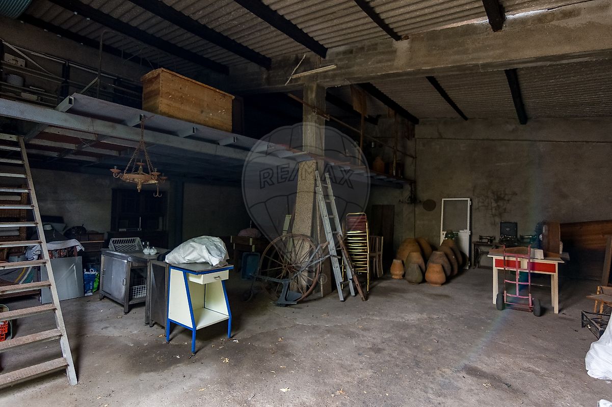 listing 124351025-278 picture-0