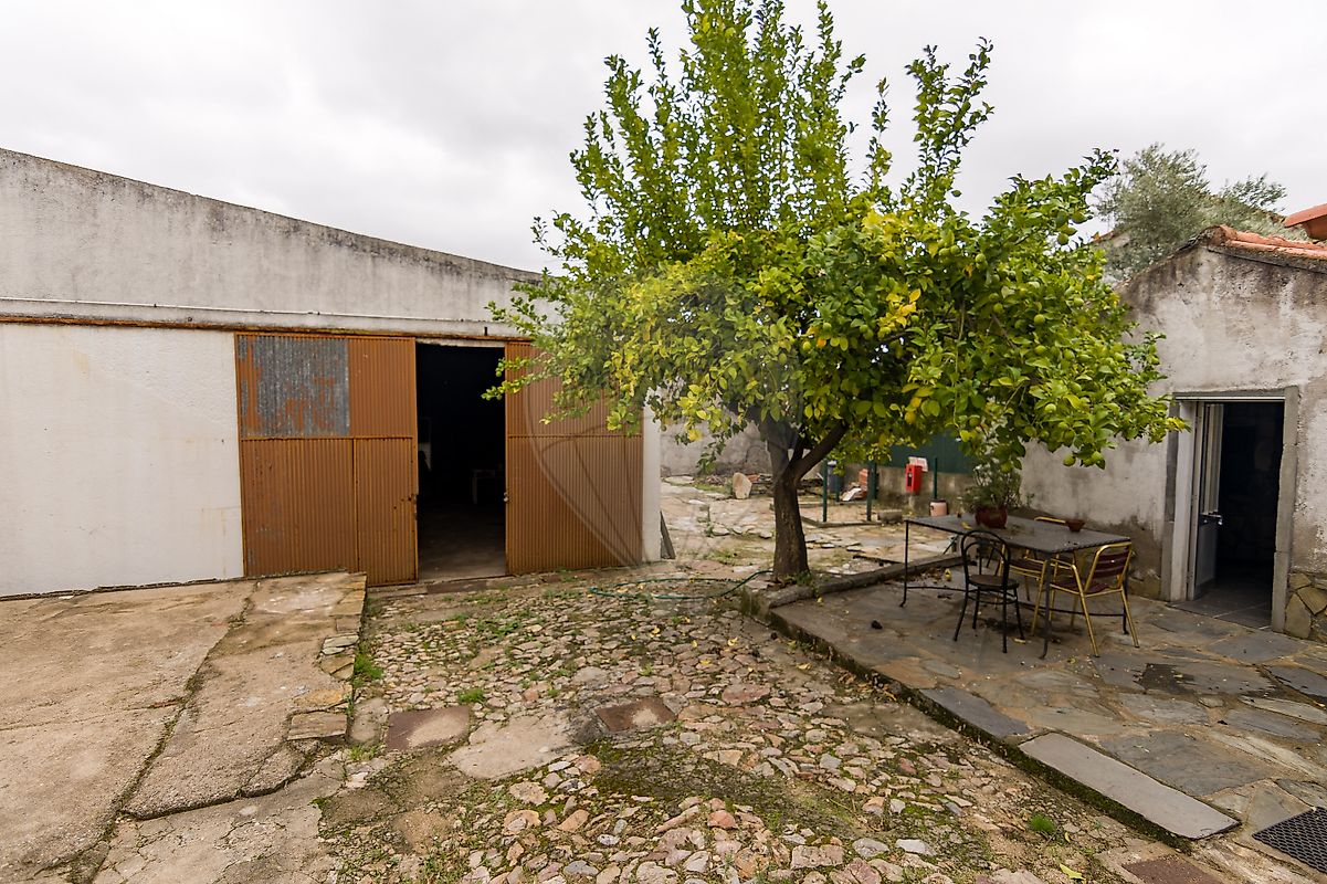 listing 124351025-278 picture-0