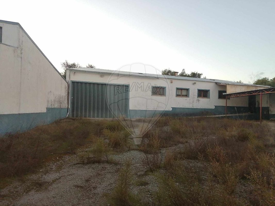 Land for sale in Castelo Branco, Portugal — €127,500
