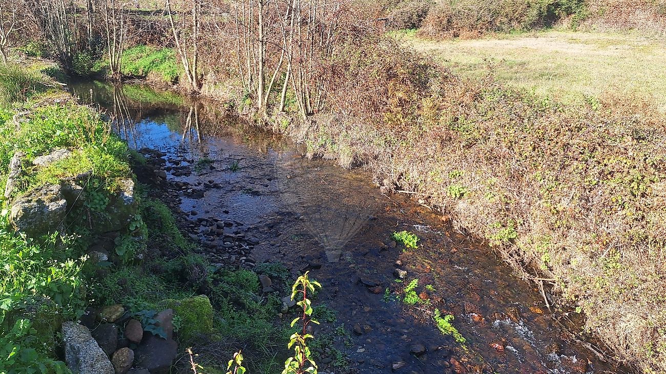 Terreno  à venda em Castelo Branco