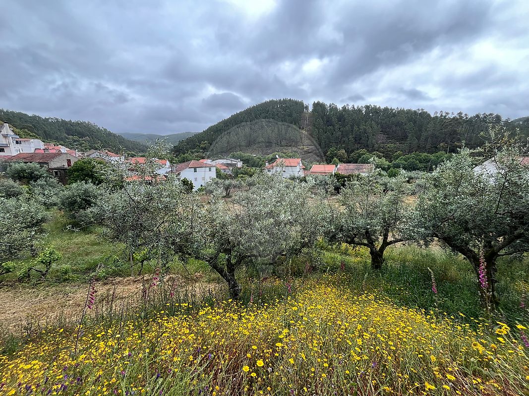 Terreno à venda em Castelo Branco