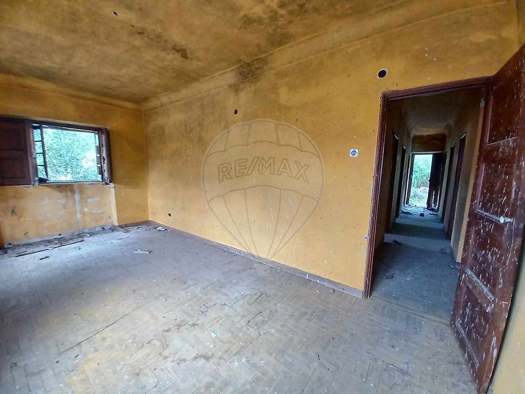 listing 124351025-303 picture-0