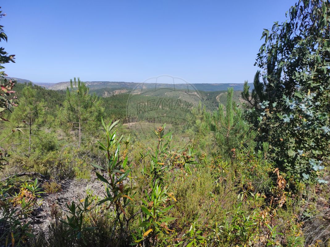 Terreno para venda
