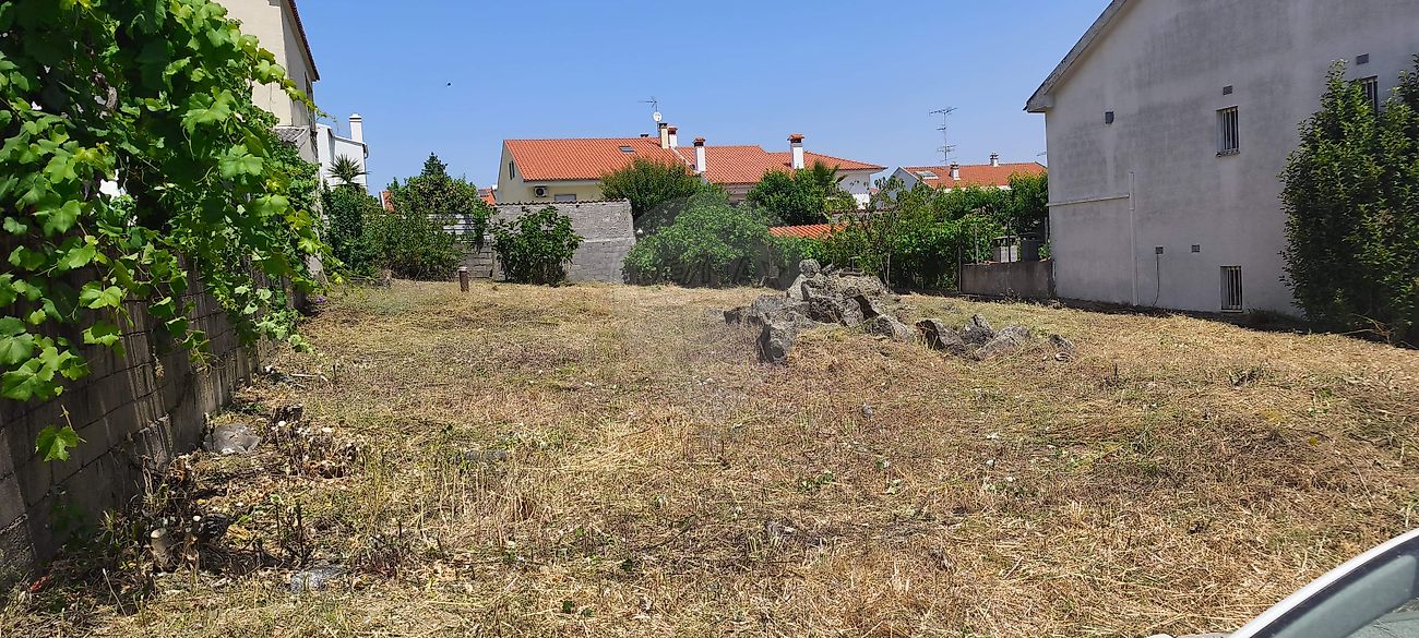 Terreno à venda em Castelo Branco