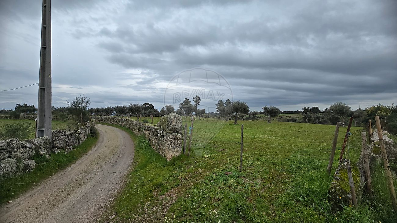 Terreno à venda em Castelo Branco