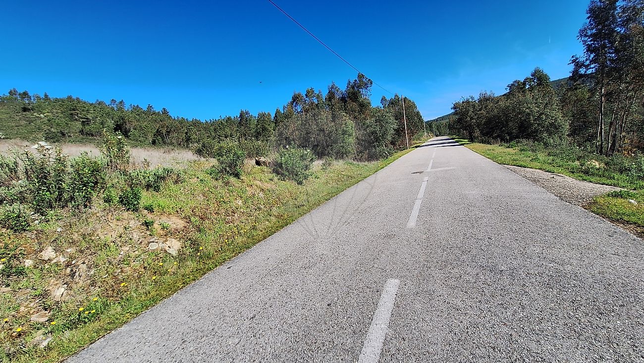 Terreno  à venda em Castelo Branco