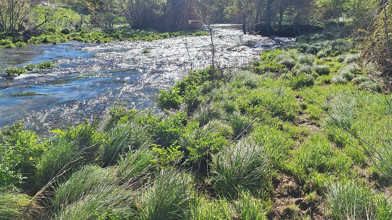 Terreno  à venda em Castelo Branco