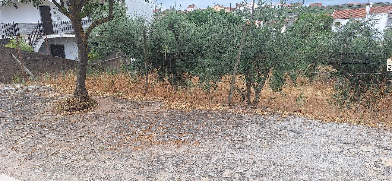 Terreno à venda em Castelo Branco