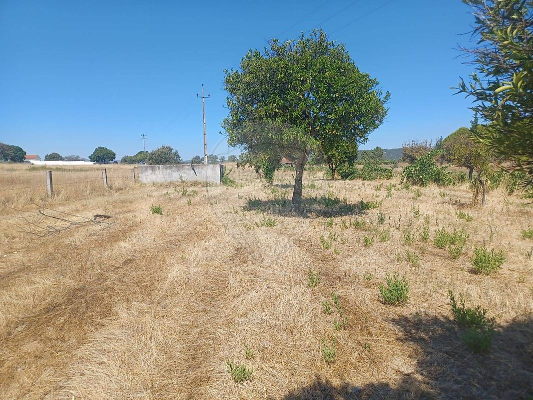 Terreno para venda