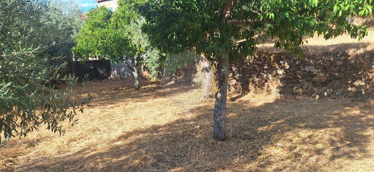 Terreno  para venda