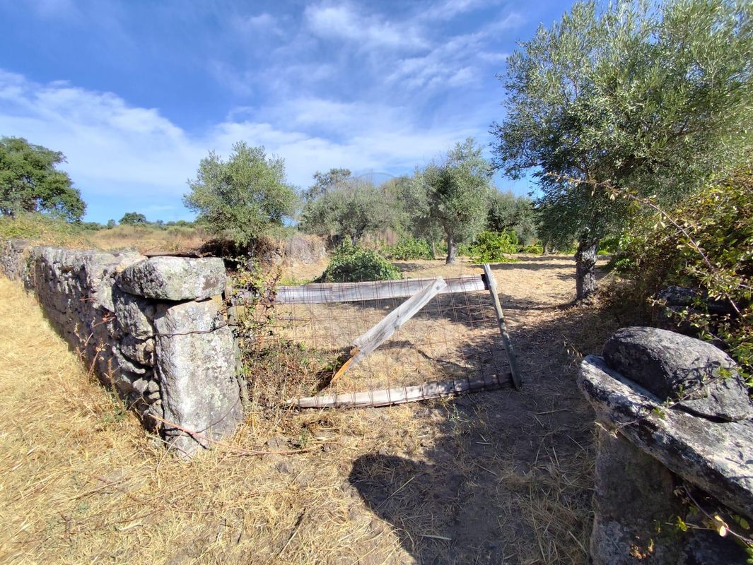 Terreno  para venda