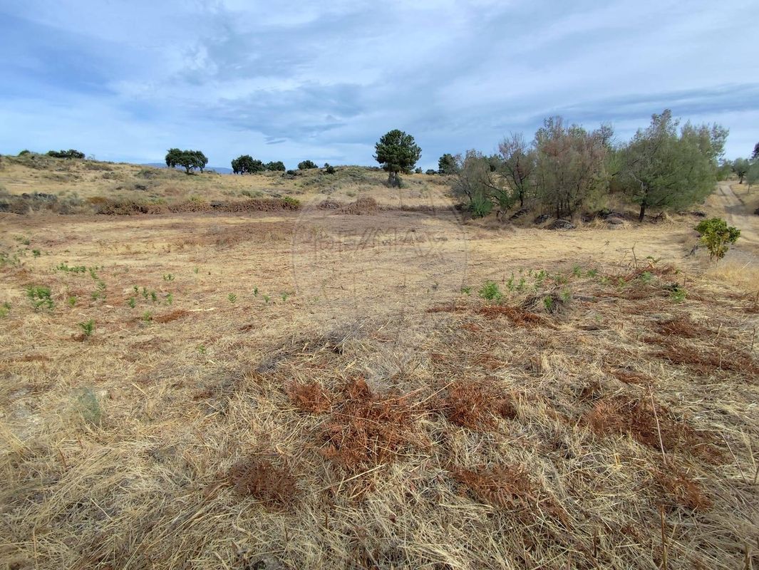 Terreno  para venda