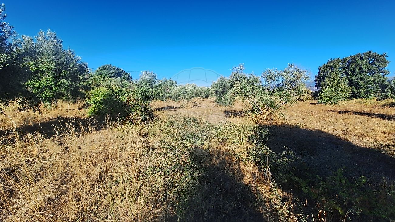 Terreno para venda