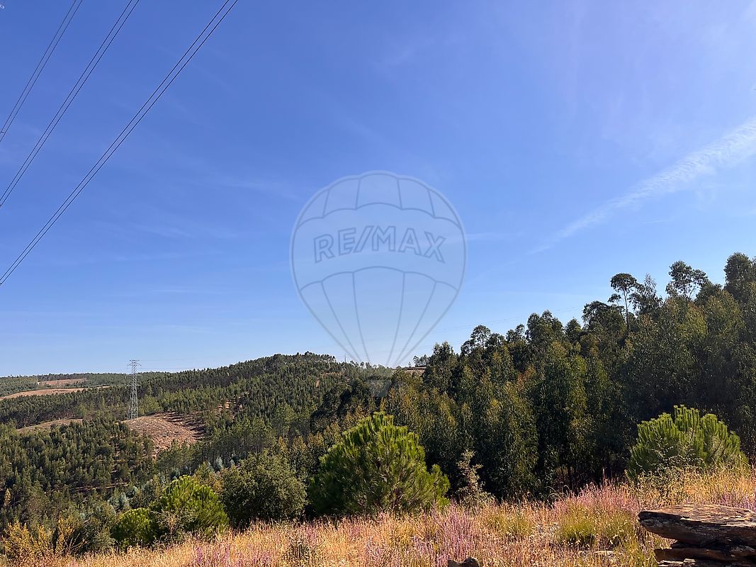 Terreno à venda em Castelo Branco