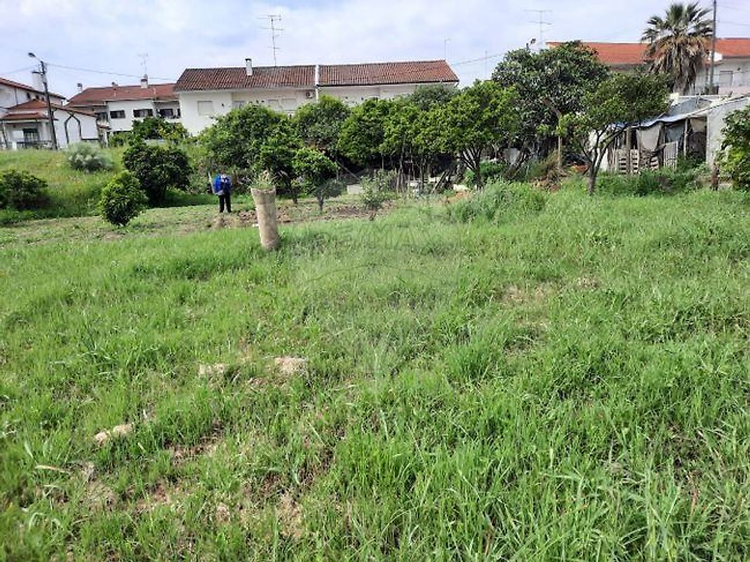 Terreno à venda em Castelo Branco