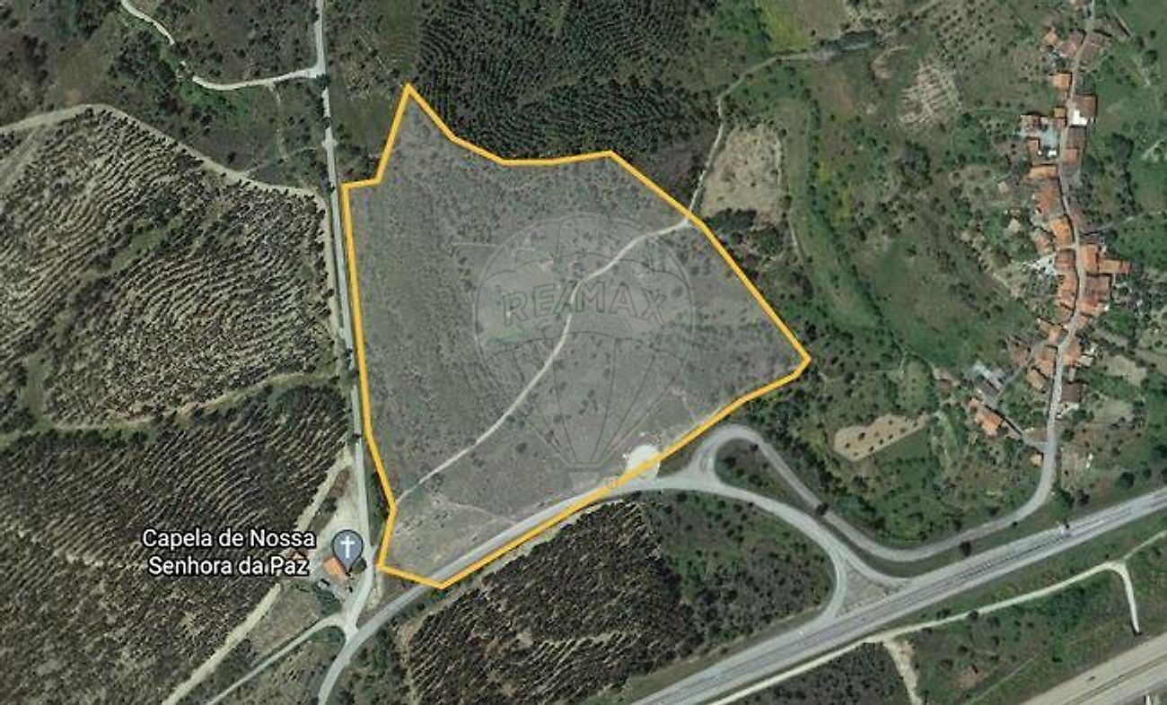Terreno - Sarnadas de Rodão, Vila Velha de Ródão, Castelo Branco