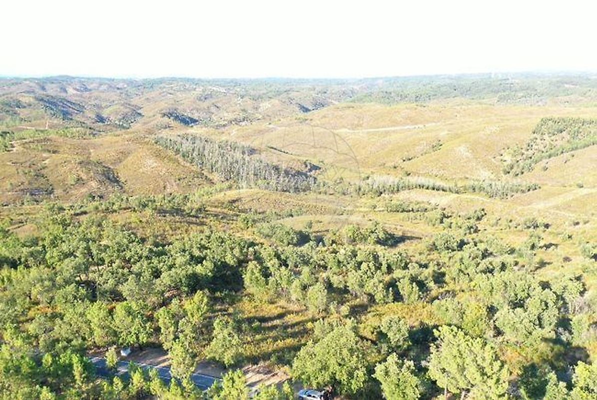 Terreno à venda em Vila Velha de Ródão