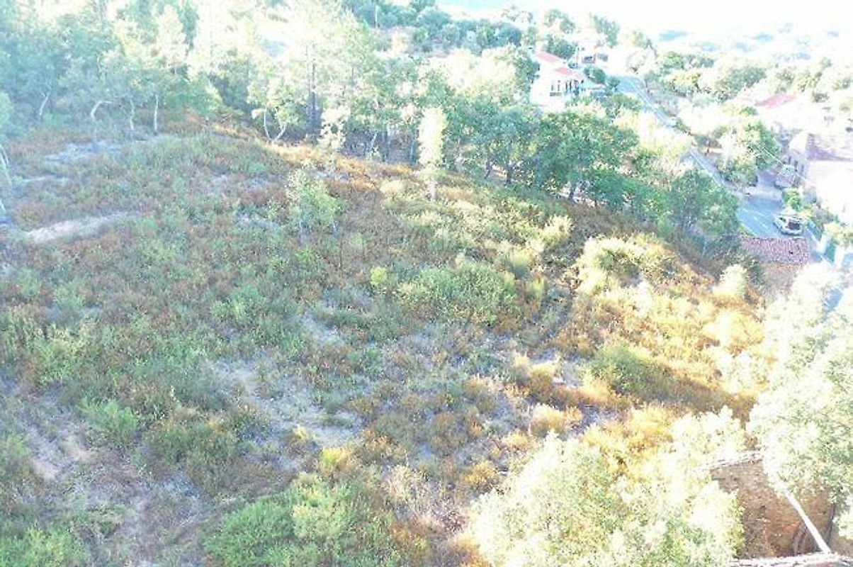 Terreno à venda em Vila Velha de Ródão