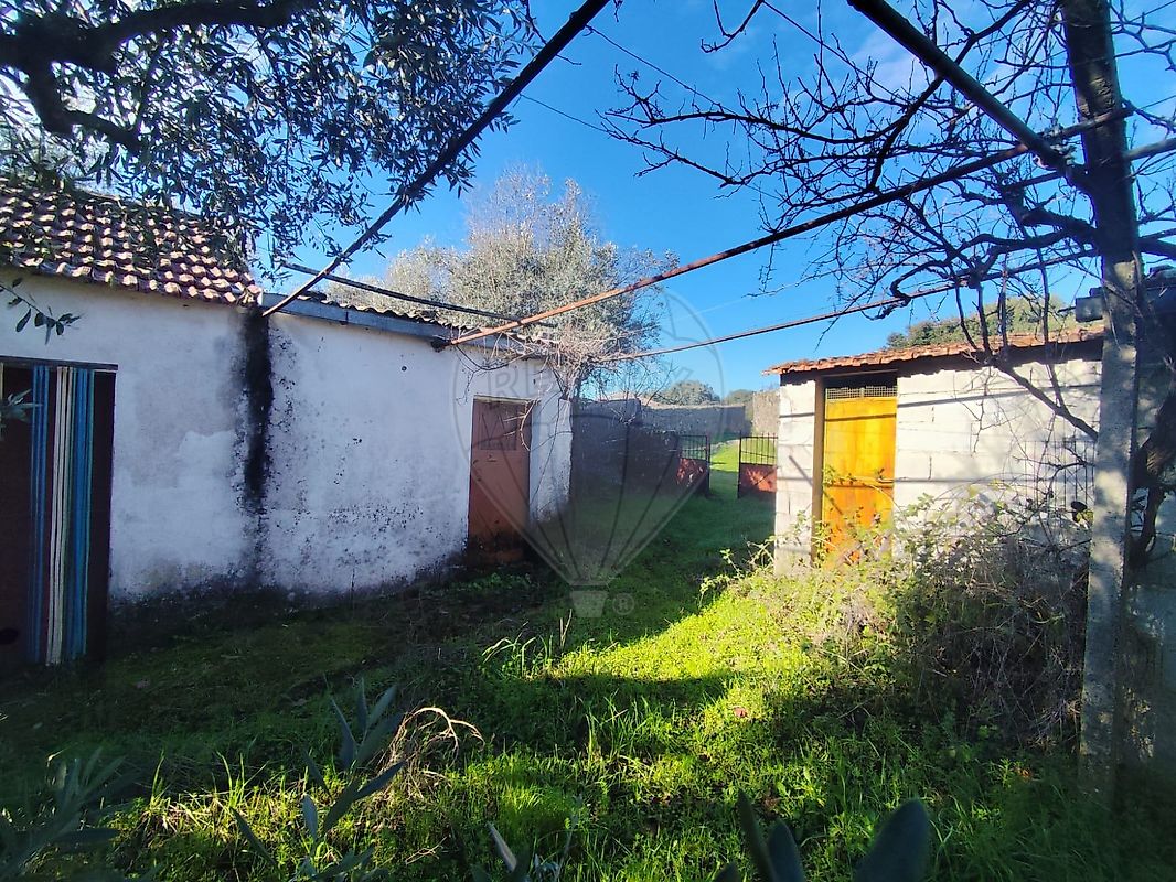 Terreno à venda em Castelo Branco