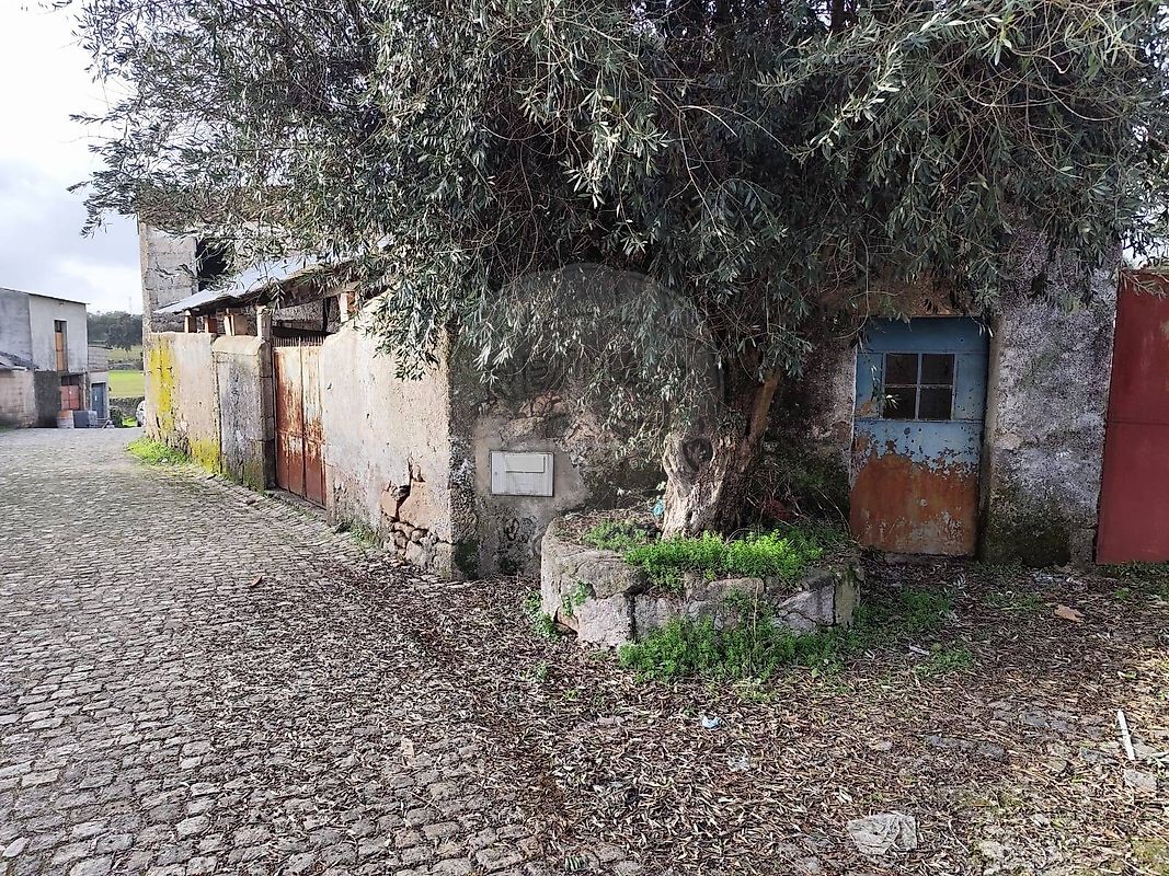 Apartamento à venda em Castelo Branco