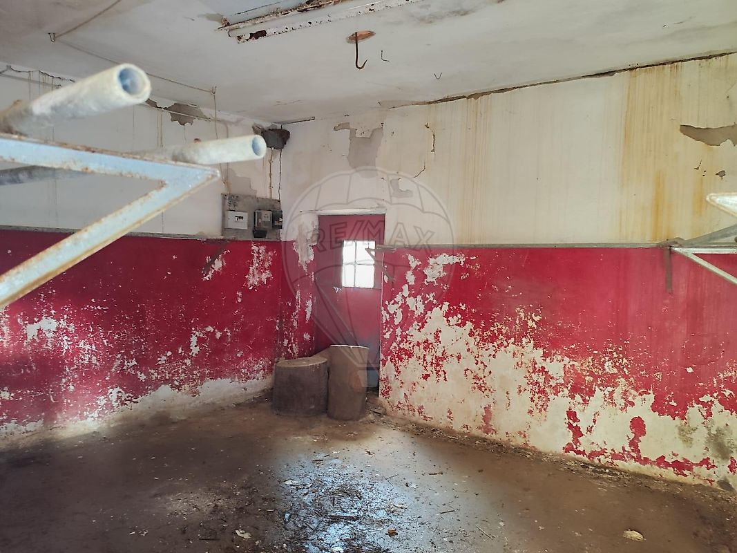 Moradia T0 à venda em Escalos de Cima e Lousa, Castelo Branco — foto 13