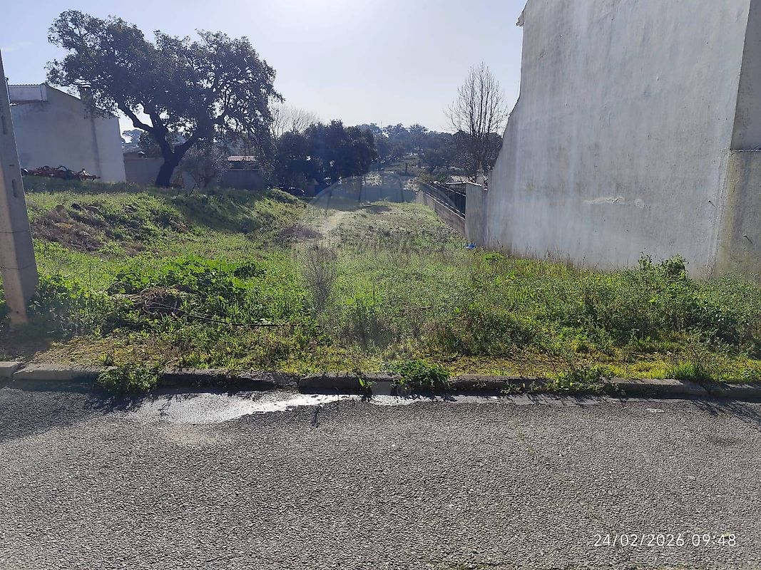 Terreno à venda em Castelo Branco