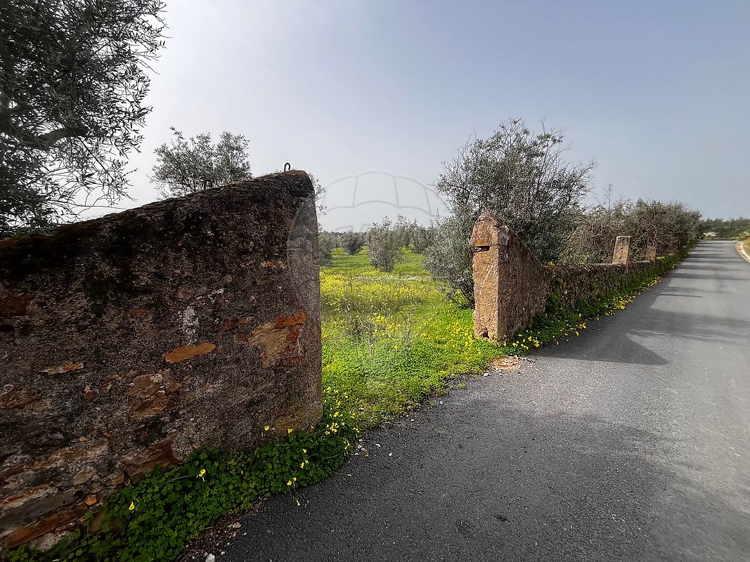 Terreno à venda em Castelo Branco