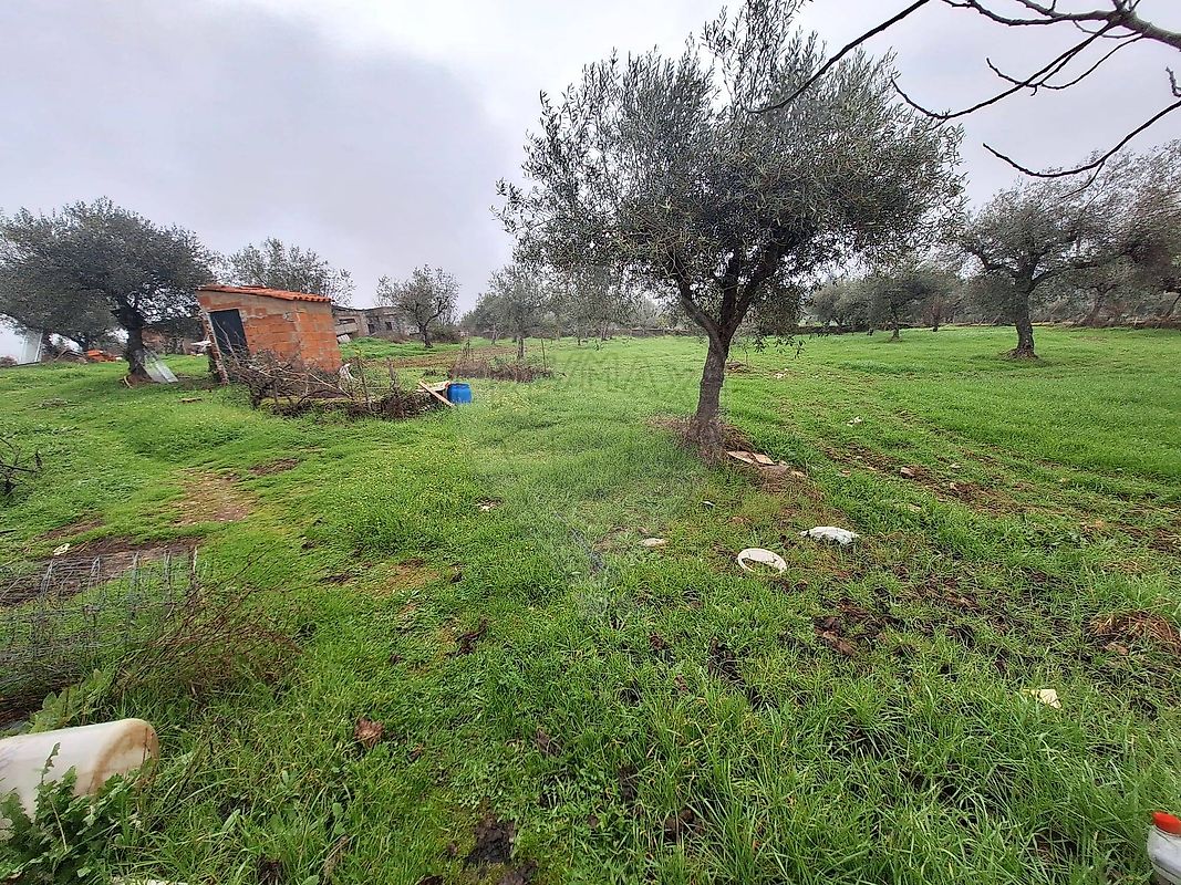 Moradia T4 à venda em Idanha-a-Nova e Alcafozes, Idanha-a-Nova — foto 10