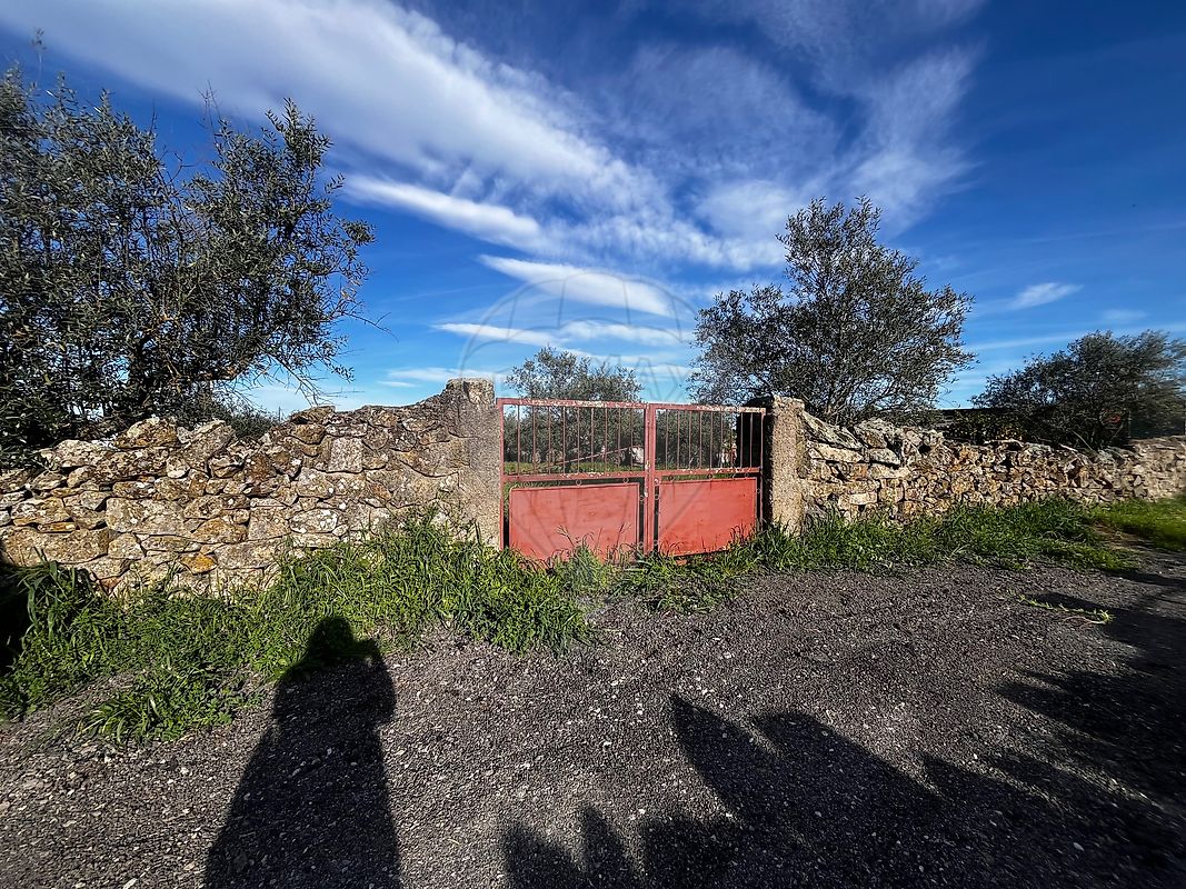 Terreno - Zebreira e Segura, Idanha-a-Nova, Castelo Branco
