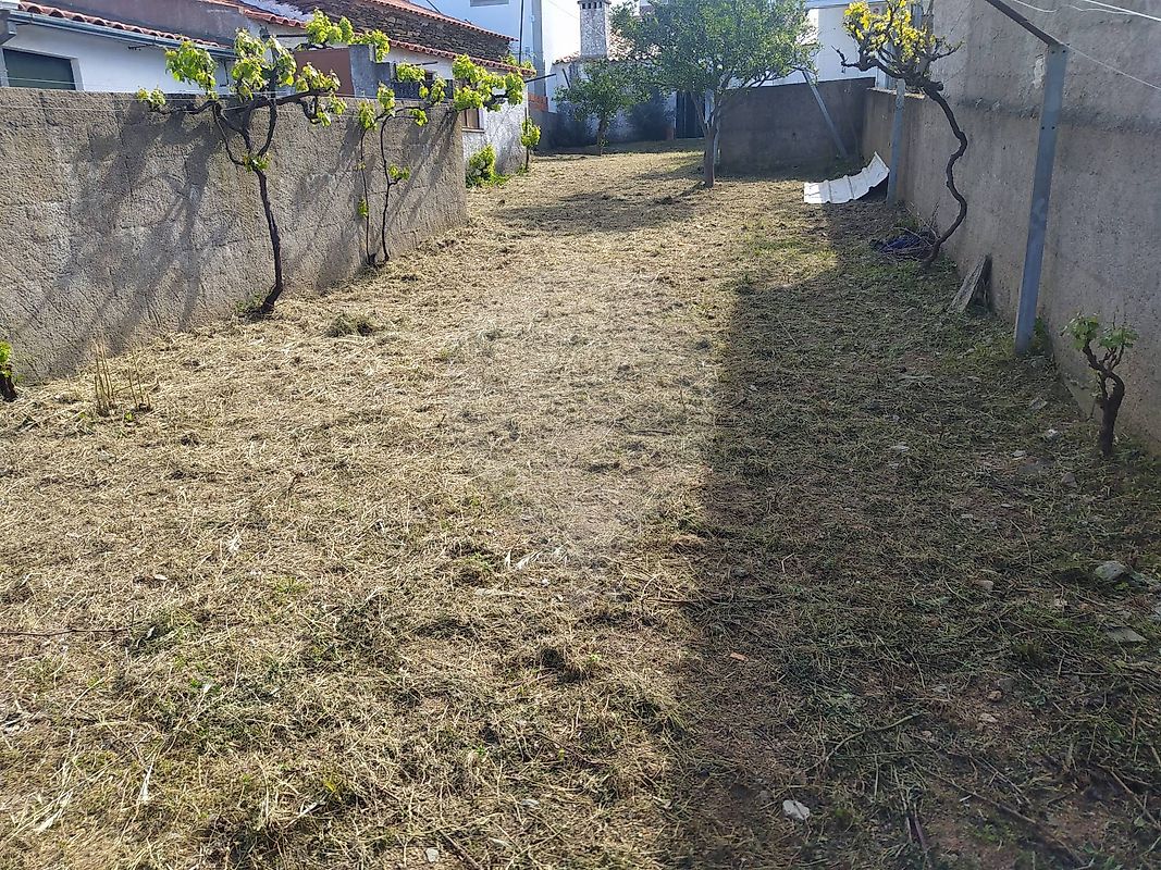 Moradia T3 à venda em Rosmaninhal, Idanha-a-Nova — foto 15