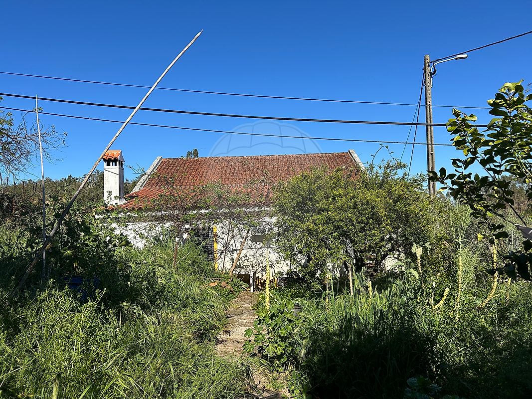 Moradia T3 à venda em Fratel, Vila Velha de Ródão — foto 25