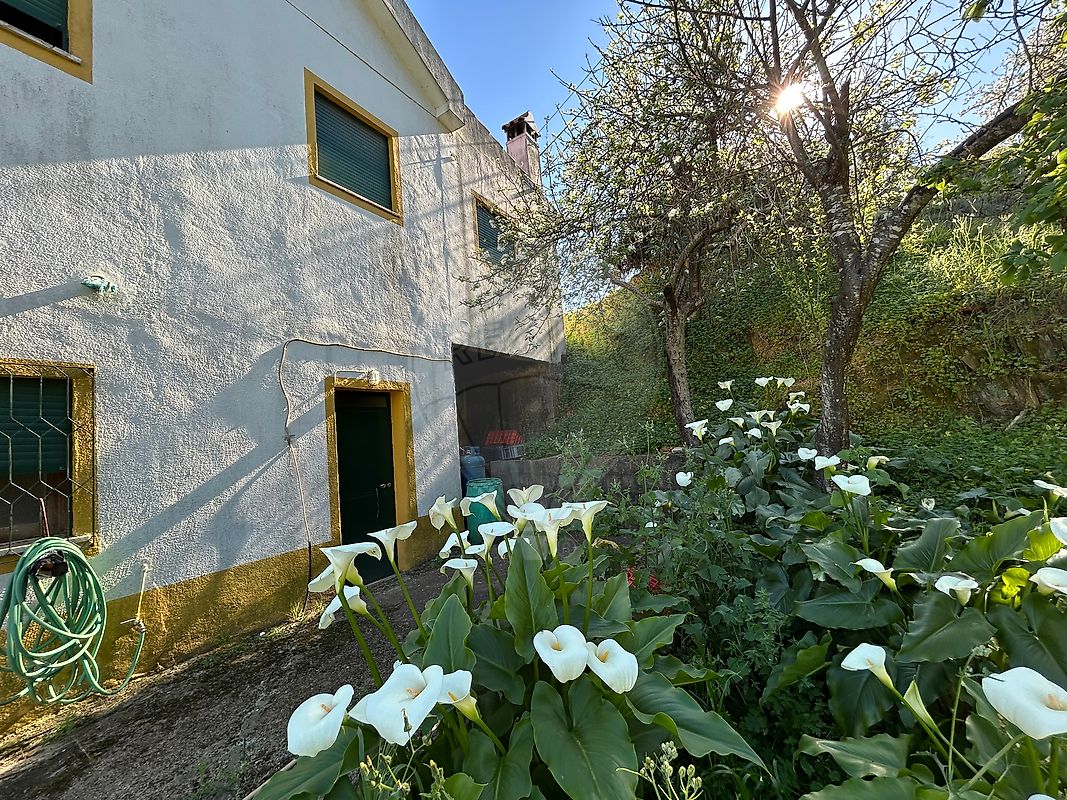 Moradia T3 à venda em Fratel, Vila Velha de Ródão — foto 29