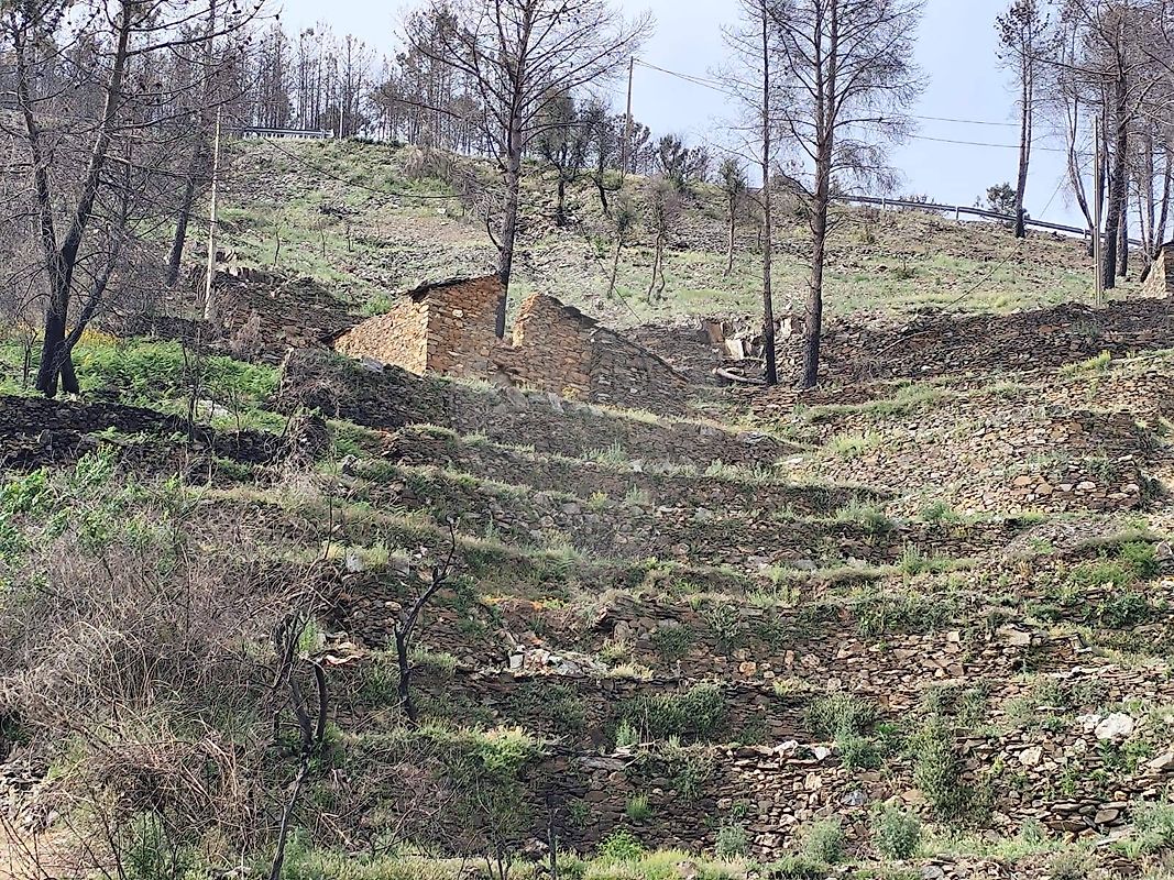 Terreno - São Jorge da Beira, Covilhã, Castelo Branco