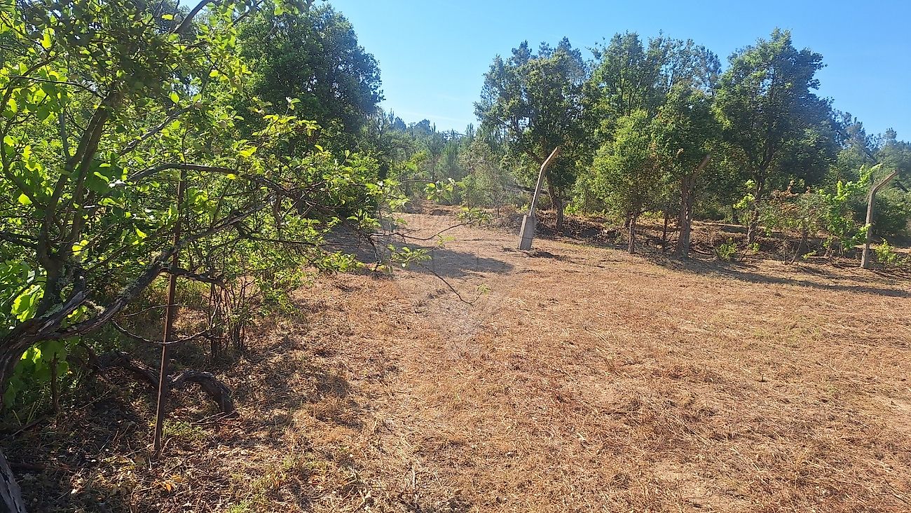 Apartamento à venda em Castelo Branco