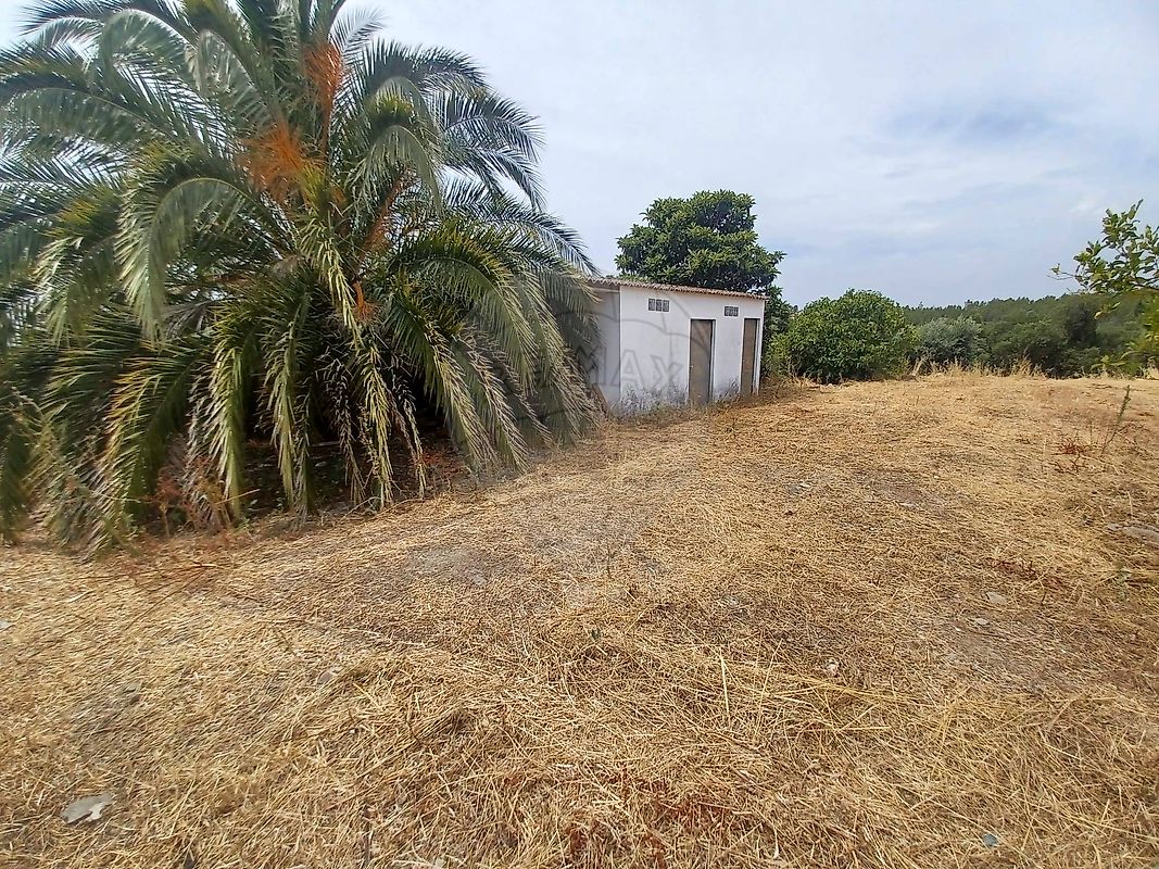 Moradia T4 à venda em Sarnadas de Ródão, Vila Velha de Ródão — foto 18