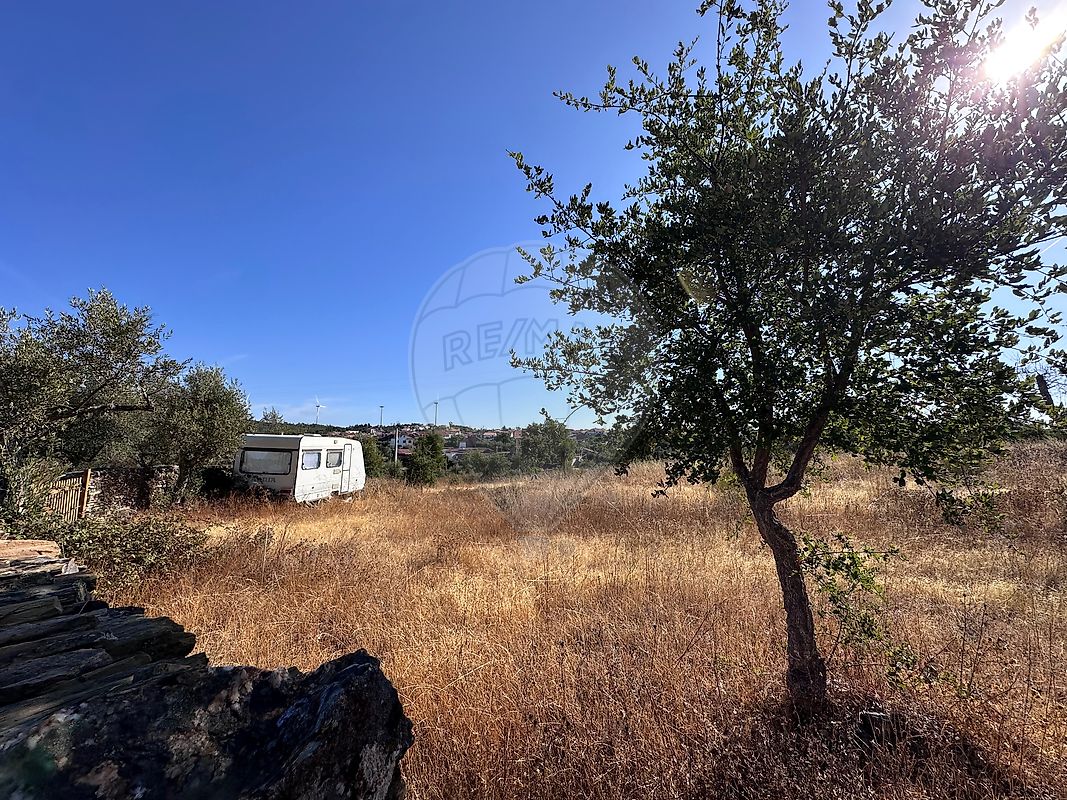 Terreno - Cebolais de Cima e Retaxo, Castelo Branco, Castelo Branco