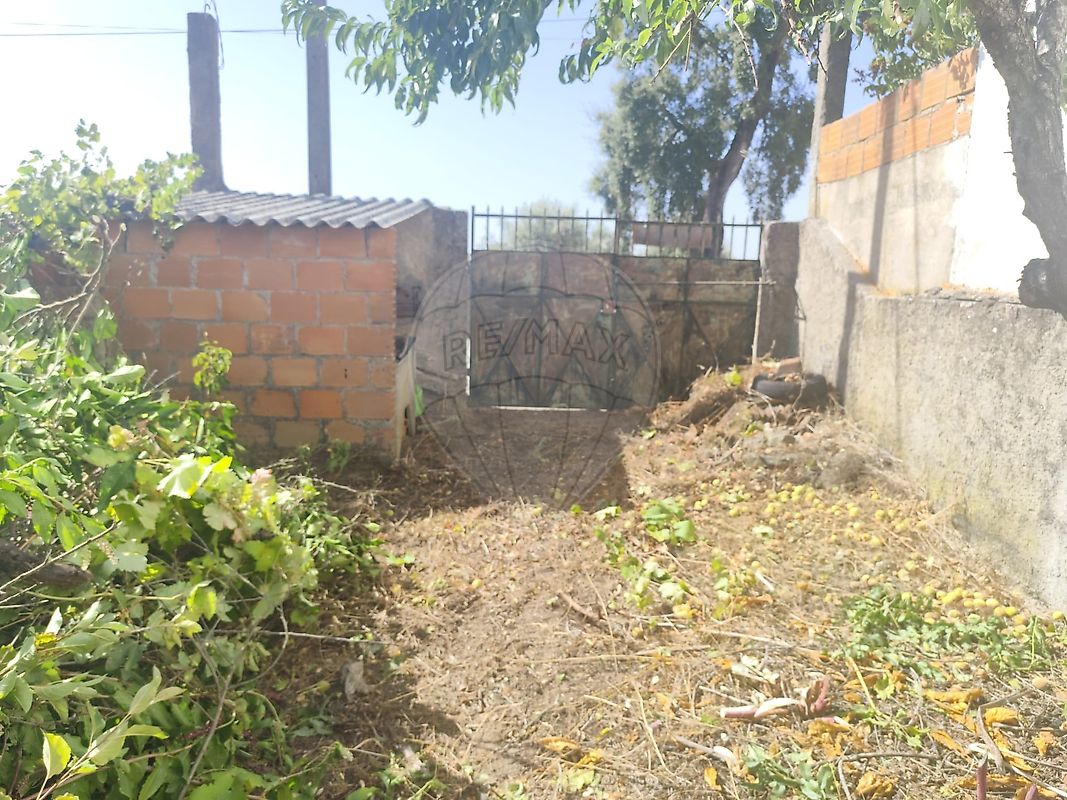 Arrecadação T1 à venda em Castelo Branco