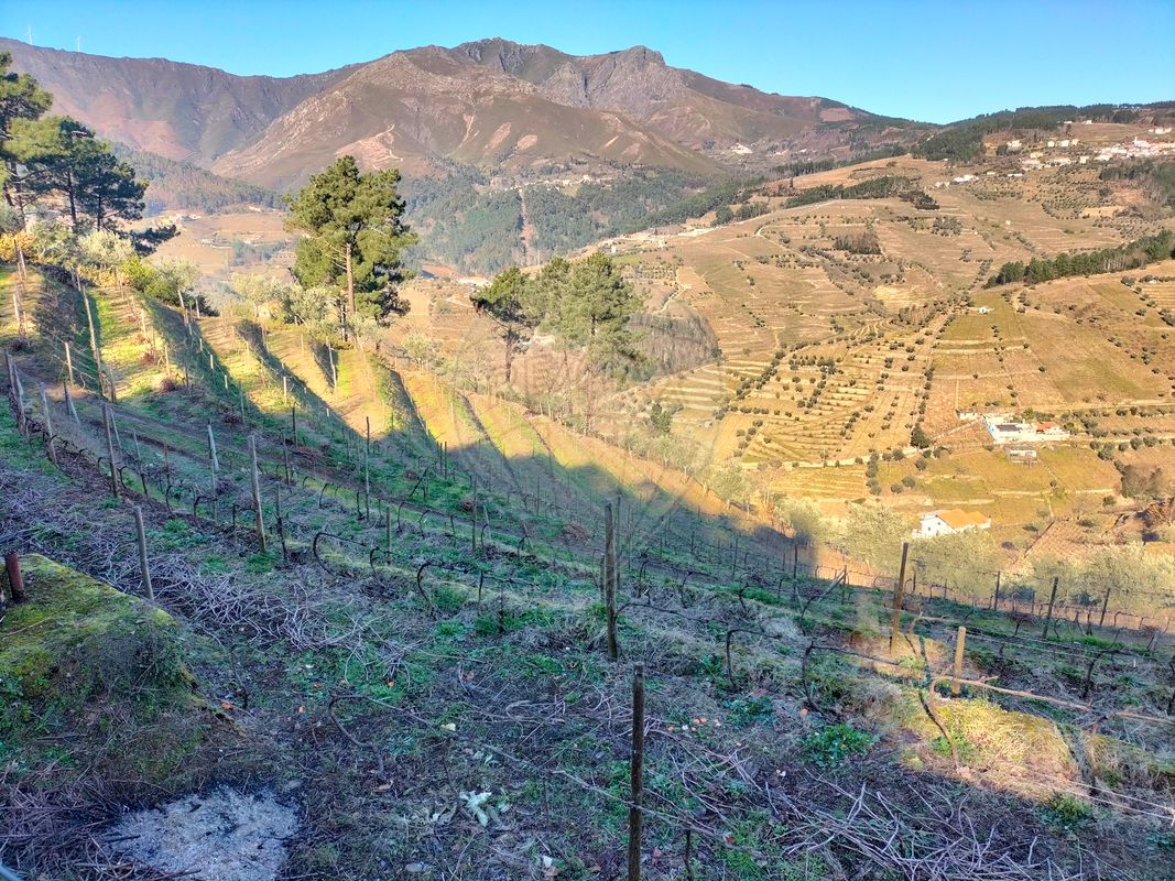 Terreno para venda