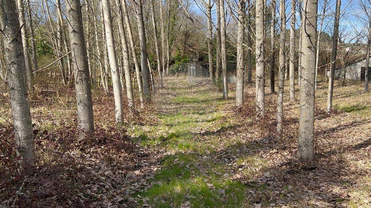 Terreno  para venda