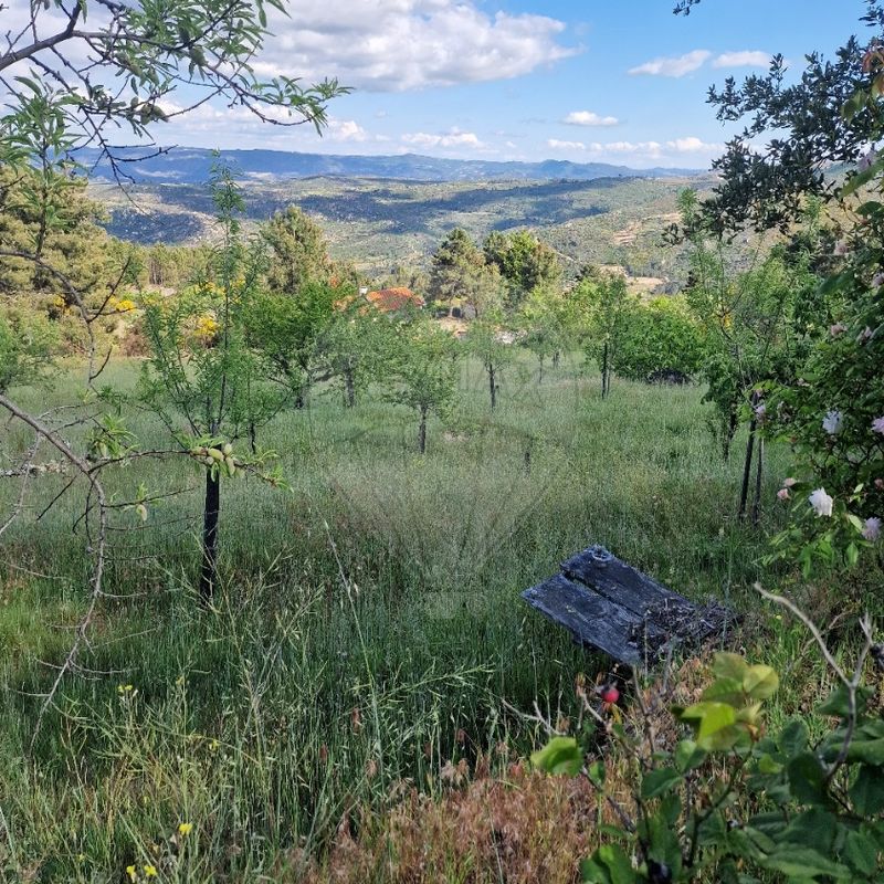 Terreno  para venda