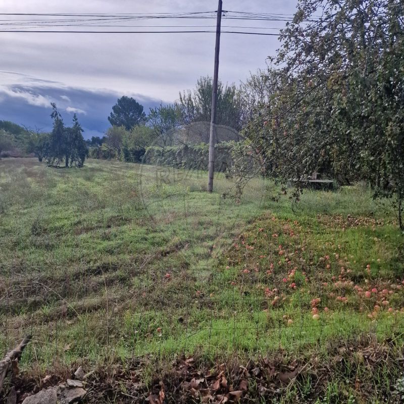 TODO