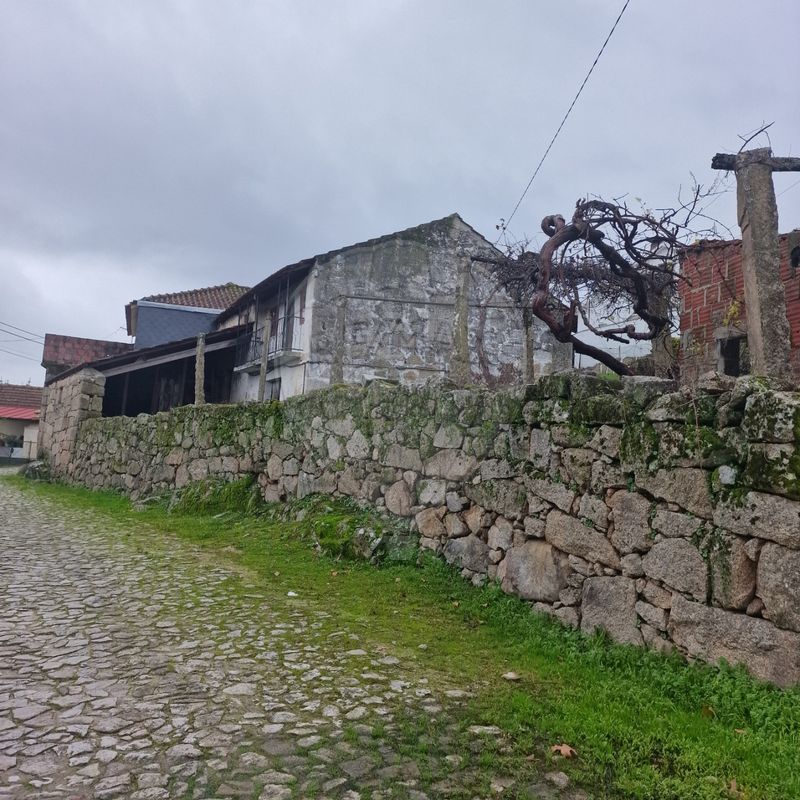 TODO