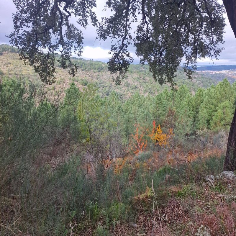 TODO