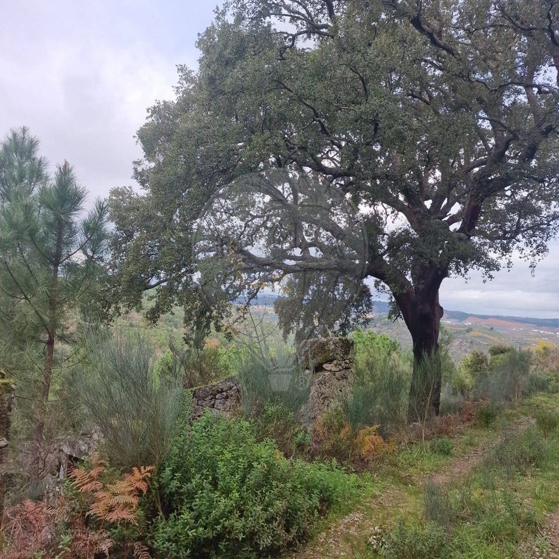 Terreno  para venda