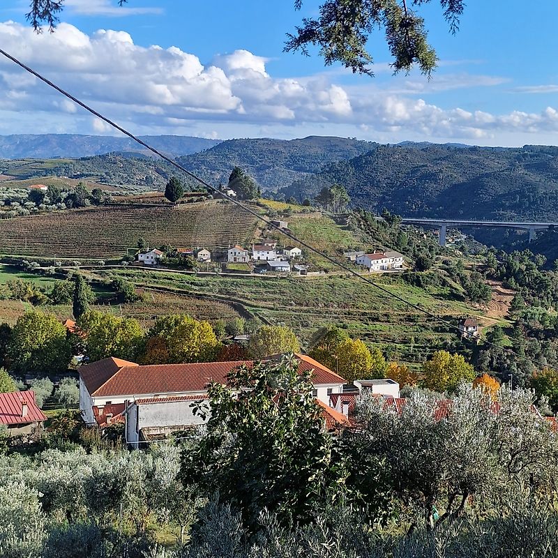 Terreno em Murça